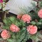 5" Peach Carnation Flower Picks - Set of 200, 3.5" Blooms, Floral Decor - Ideal for Crafts, Bouquets - Versatile Year-Round Use, Floral Home by Artificial Flowers